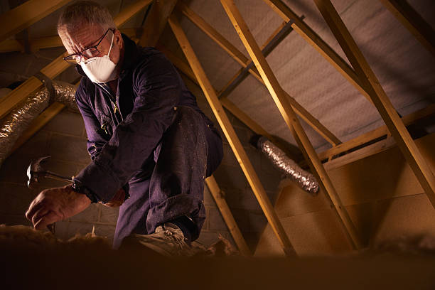 Best Eco-Friendly Insulation in Phoenixville, PA